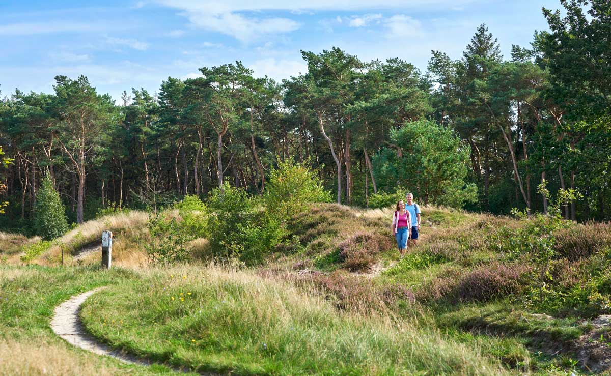 Im Spätherbst wandern an der Nordsee