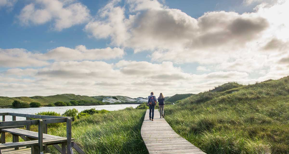 Im Spätherbst wandern an der Nordsee