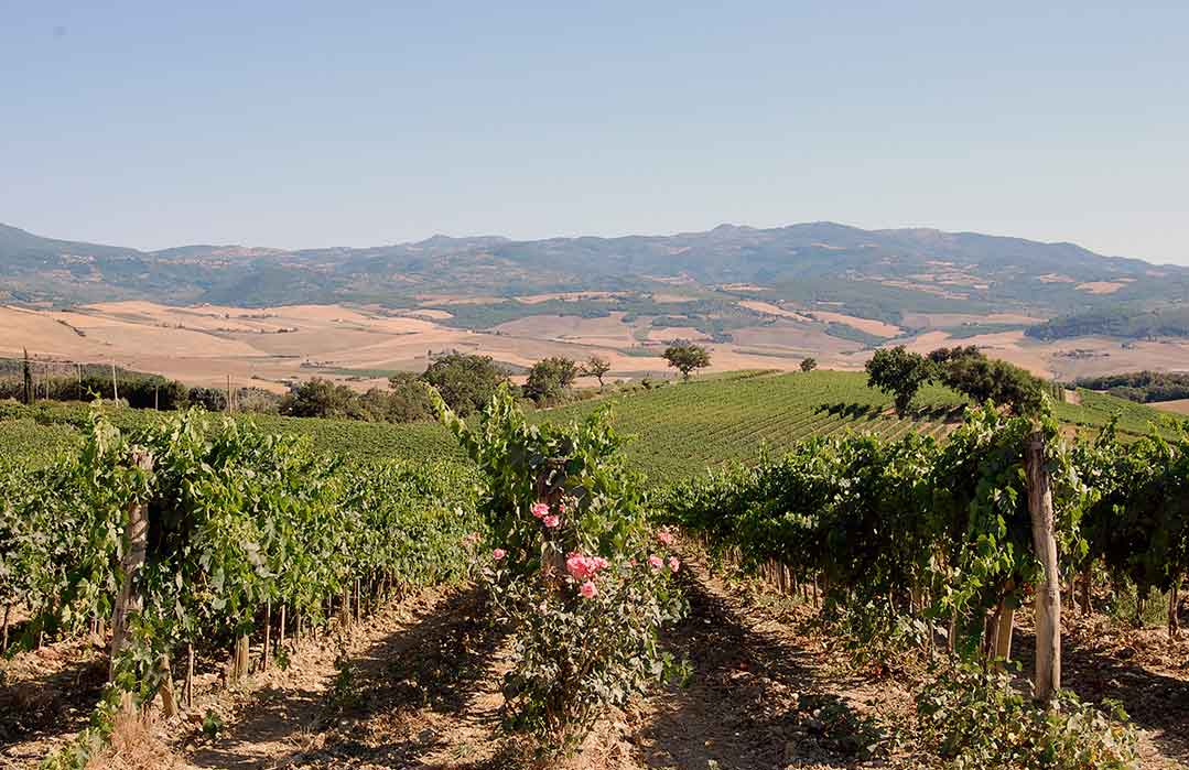 Südliche Toskana: Das Hinterland Alta Maremma