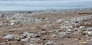 Plastikverschmutzung im MeerPlastikverschmutzung im Meer