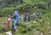 Naturpark Sölktäler: Bergwaldprojekt für Familien