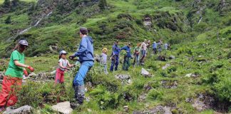 Naturpark Sölktäler: Bergwaldprojekt für Familien