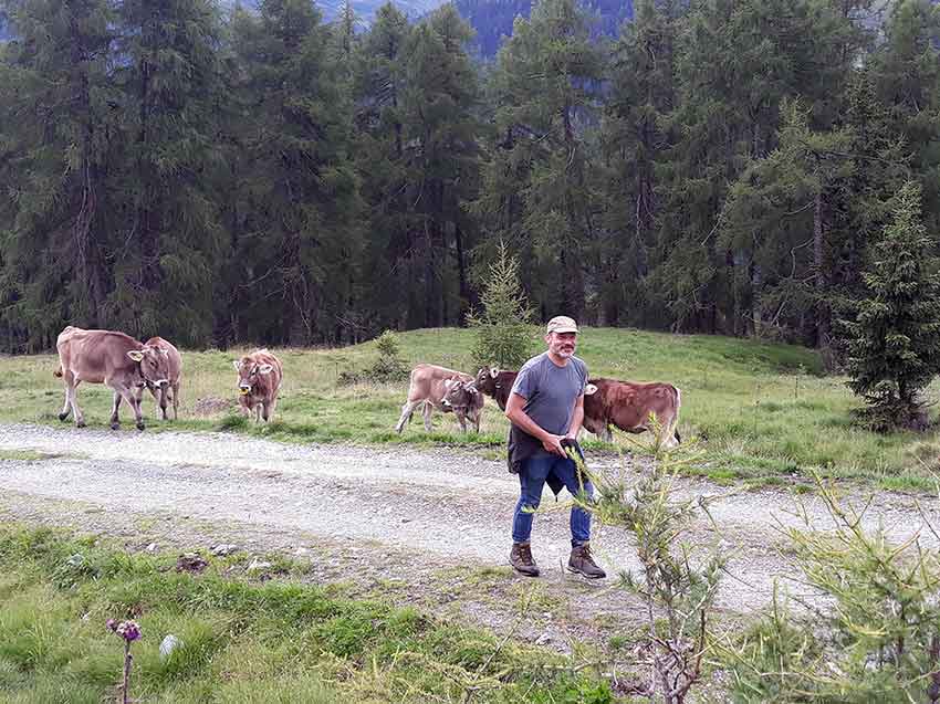 Bergwaldprojekt für Familien in Obernberg in Tirol