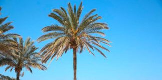 Foto:EH / In 2 besonderen Hideaways auf Mallorca startet die Frühlings-Saison