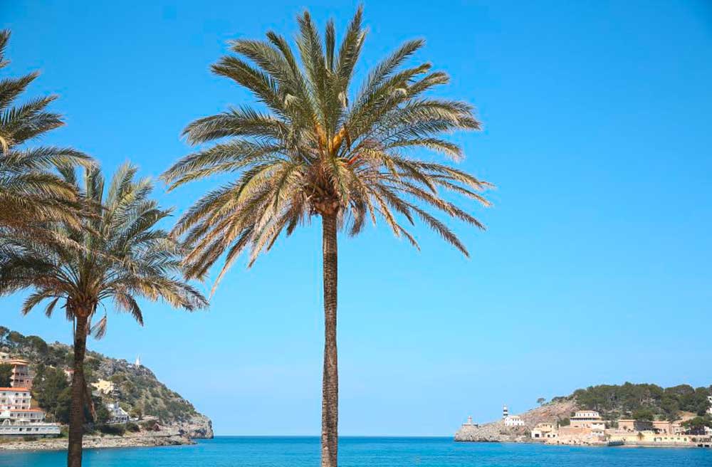 In 2 besonderen Hideaways auf Mallorca startet die Frühlings-Saison