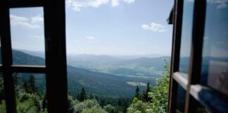 Der Bayerische Wald das grüne Dach Europas