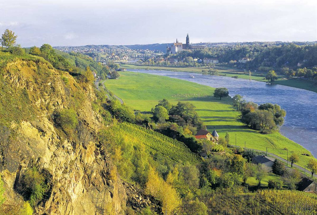 Von der Lausitz bis zur Elbe: Faszination Wein in Sachsen