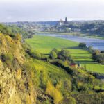 Von der Lausitz bis zur Elbe: Faszination Wein in Sachsen