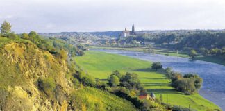 Von der Lausitz bis zur Elbe: Faszination Wein in Sachsen