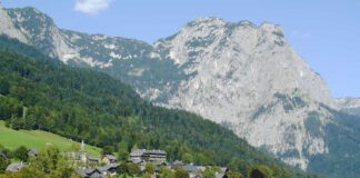 Aufblühen im Narzissendorf Zloam am Grundlsee