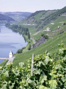 Entdeckungen im land der steilen Weinberge