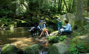 Der Bayerische Wald das grüne Dach Europas