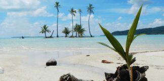 Fidschi: Naturidyll am anderen Ende der Welt