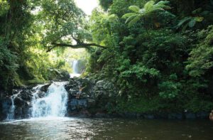 Fidschi: Naturidyll am anderen Ende der Welt