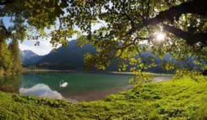 Der Bergsommer in Wagrain hat ein neues Gesicht: The Matthew