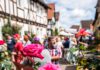 Rosenmarkt, Rosenschau, Rosenkorso beim Steinfurther Rosenfest