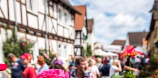 Rosenmarkt, Rosenschau, Rosenkorso beim Steinfurther Rosenfest