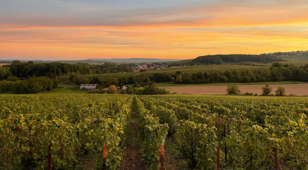 De Watère Champagner: Perfektion kommt mit der Zeit