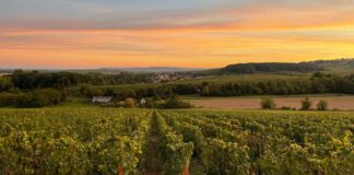 De Watère Champagner: Perfektion kommt mit der Zeit