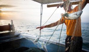 Kulinarische Reise zur Festa del Pesce in Caorle