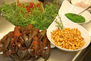 Gebratenes Saiblingsfilet mit Pfifferlings-Tomatenragout und Signalkrebse