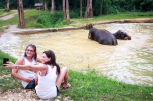 Elefanten hautnah erleben im Elephant-Hills-Camp