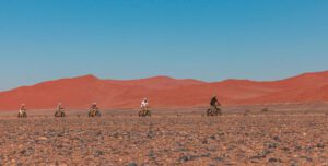 Flucht aus der Kälte - in Afrika nun Sonne tanken