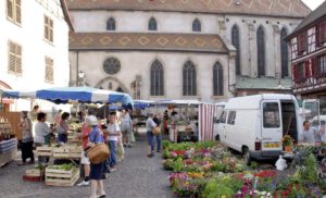 Elsass: Wein für Feinschmecker - Reisebericht Teil 2