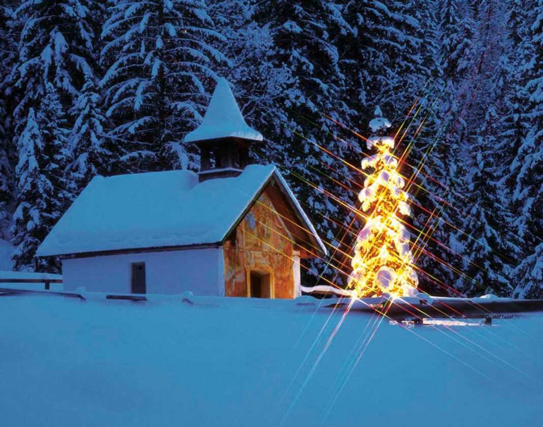 Die Lichter des Weihnachtsbaums