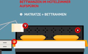 Bettwanzen im Zimmer? 5 Tipps für den Bettwanzen-Check!