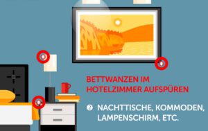 Bettwanzen im Zimmer? 5 Tipps für den Bettwanzen-Check!