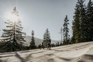 Gosau: mitten in der wintersportregion Dachstein West