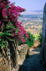 Geheimtipps für Portugal: Alentejo - Portugals Hinterland