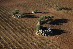 Geheimtipps für Portugal: Alentejo - Portugals Hinterland