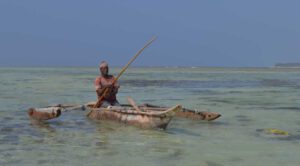 Sansibar: Paradies mit kleinen Flecken - ein Reisebericht