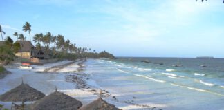 Sansibar: Paradies mit kleinen Flecken - ein Reisebericht