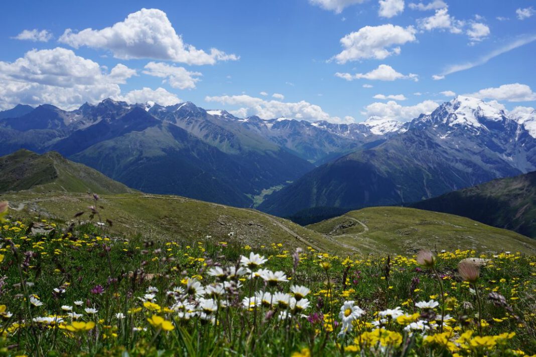 Vinschgerhof: Frühstart in den Frühling