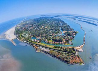 Insel Albarella nahe Venedig: nah, grün, autofrei