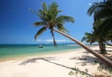 Reisebericht: Vor-Ort-Recherche Ko Samui