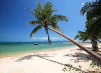 Reisebericht: Vor-Ort-Recherche Ko Samui