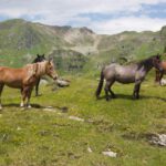 Wandern im Nationalpark Hohe Tauern: Drei-Seen-Tour