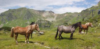 Wandern im Nationalpark Hohe Tauern: Drei-Seen-Tour