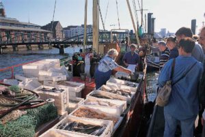 Hamburg: Ozeanriesen und Ohrwürmer