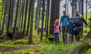 Lesen, Wandern und Entdecken in Bodenmais