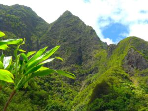 Hawaii: die Inseln im Überblick und Reisetipps
