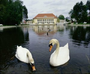 Bad Elster und Bad Brambach: Sächsisch relaxen