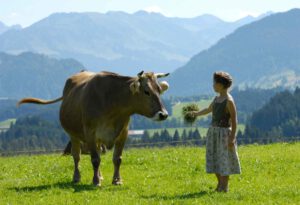 Quer durch Bayern Teil 2 Oberbayern