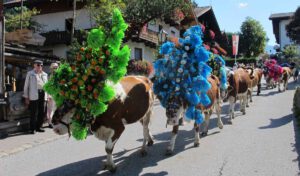 Da leb' ich auf: Genussurlaub in den Bergen