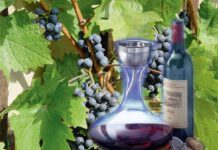 Wein dekantieren mit Sinn und Stil