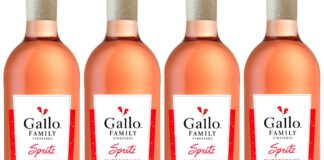 Gallo Watermelon Spritz: Gewinnen Sie das Trendgetränk des Sommers!